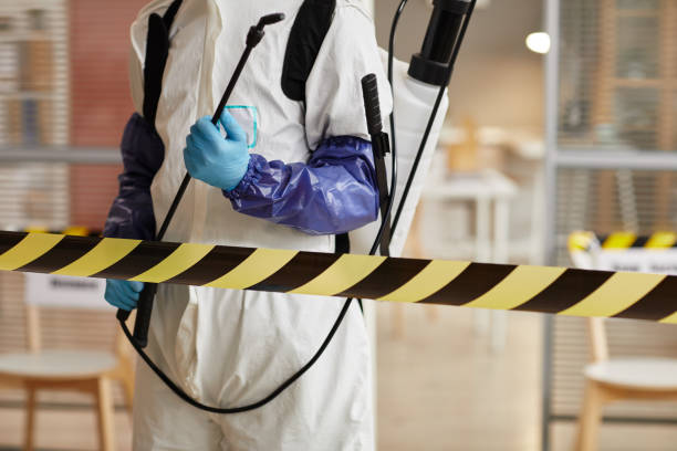 Professional Sewage Cleanup technician working in Honomu, HI